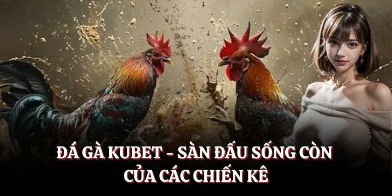 Đá Gà KUBET: Trải Nghiệm Đấu Trường Kê Thủ Đỉnh Cao 2026